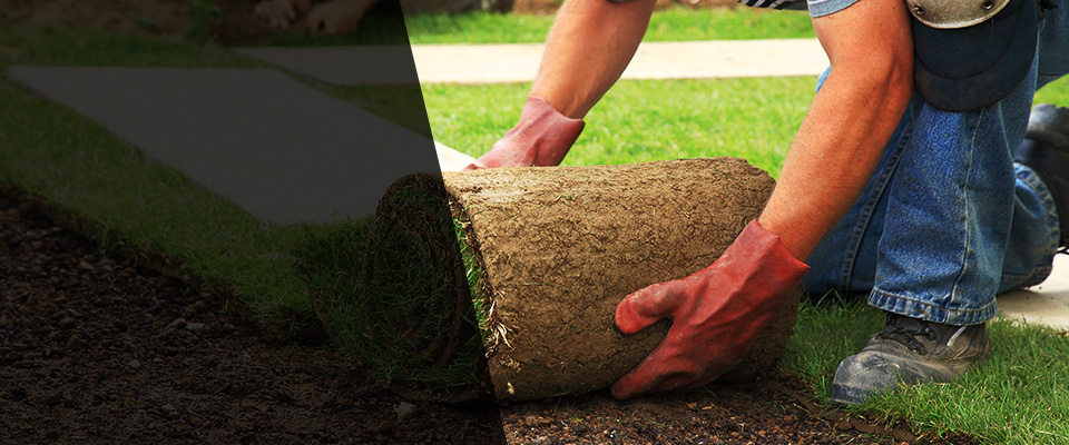 Temperance Landscapers